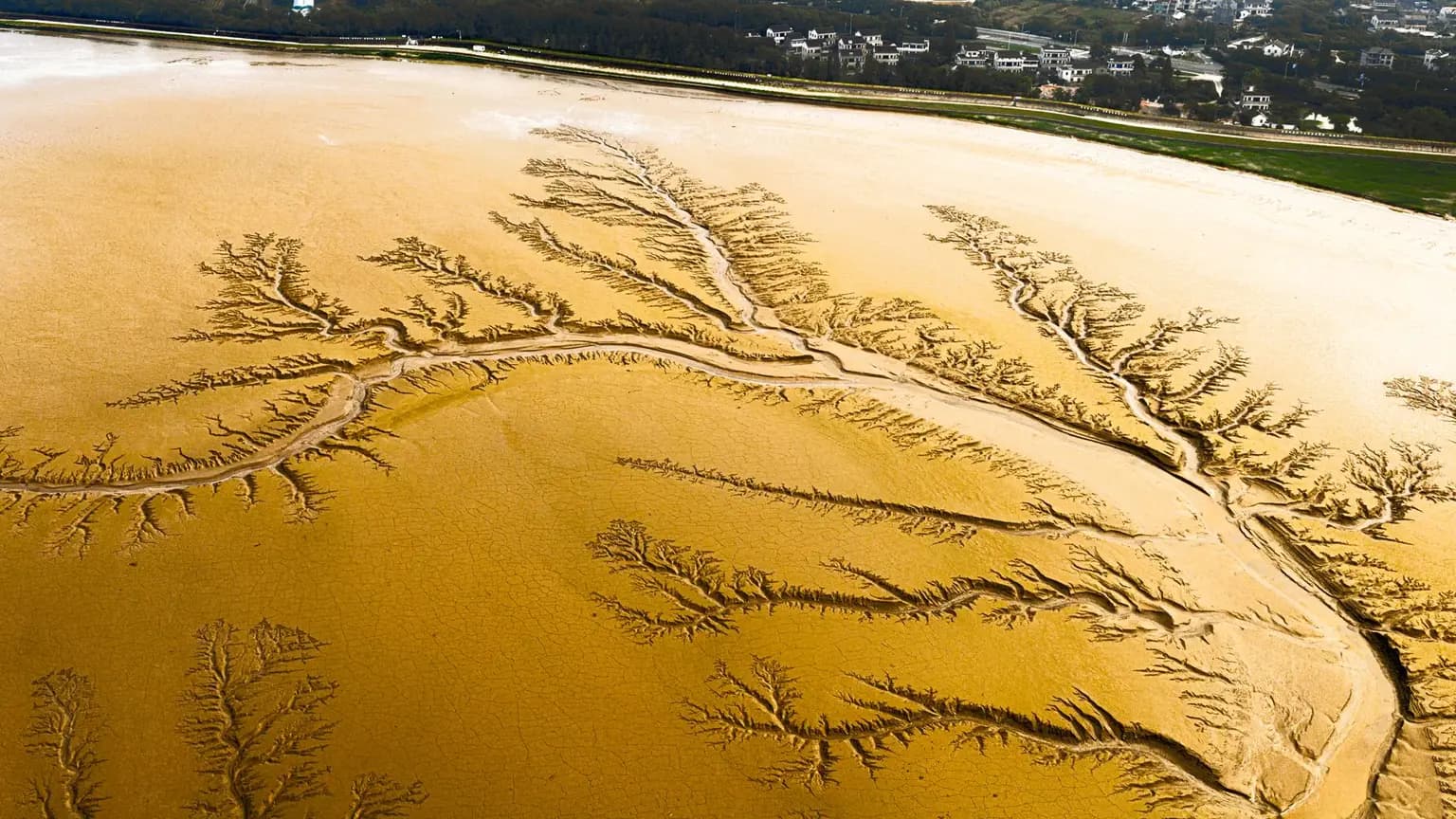 Bioregionalism: Thinking Like a Watershed
