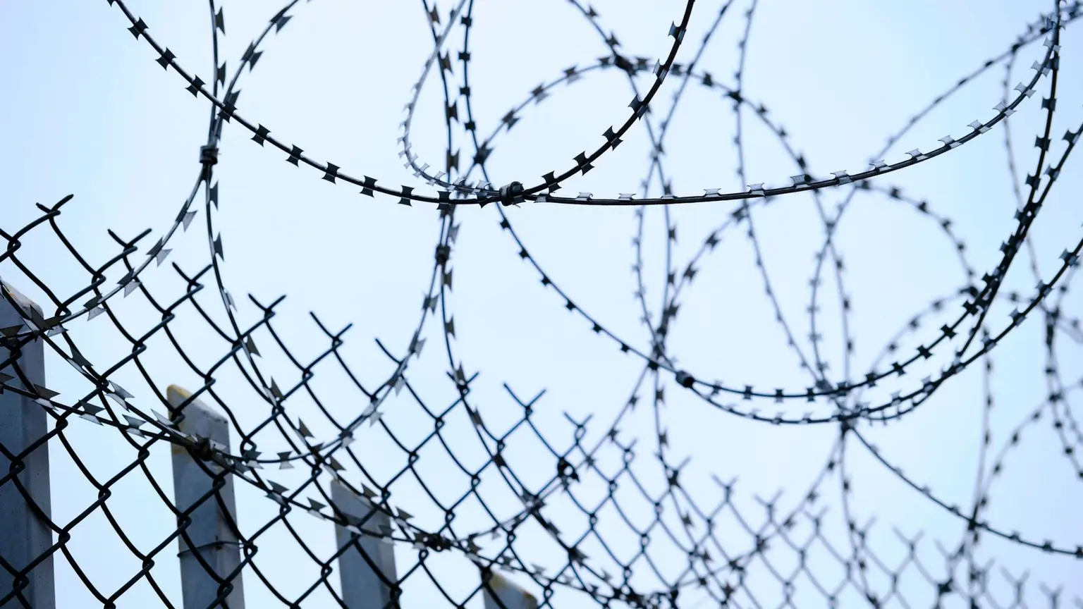 Cruelty As Policy