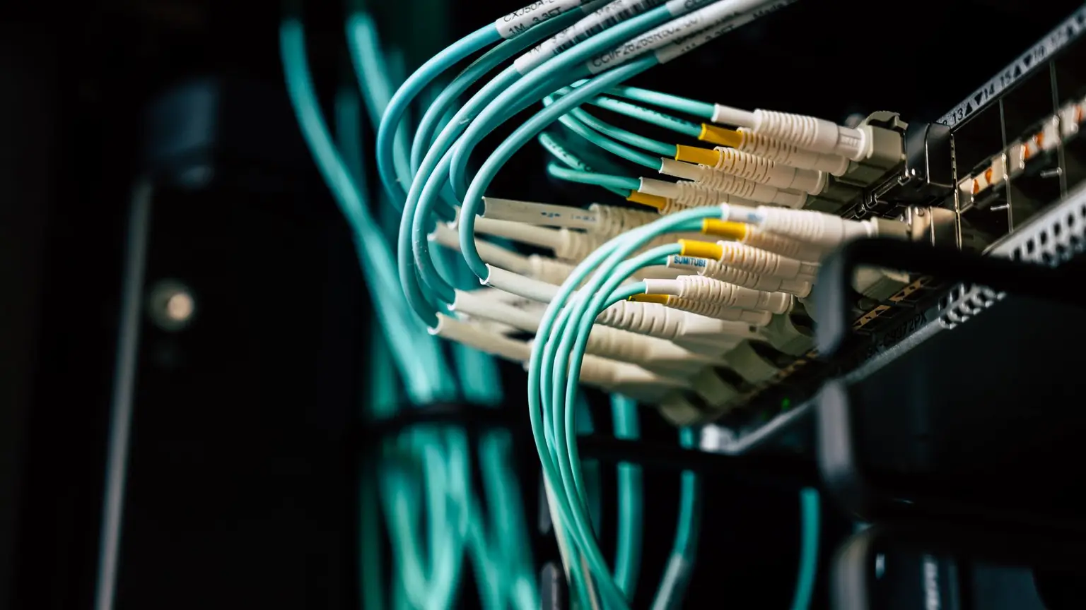 Self-Hosting Is Political