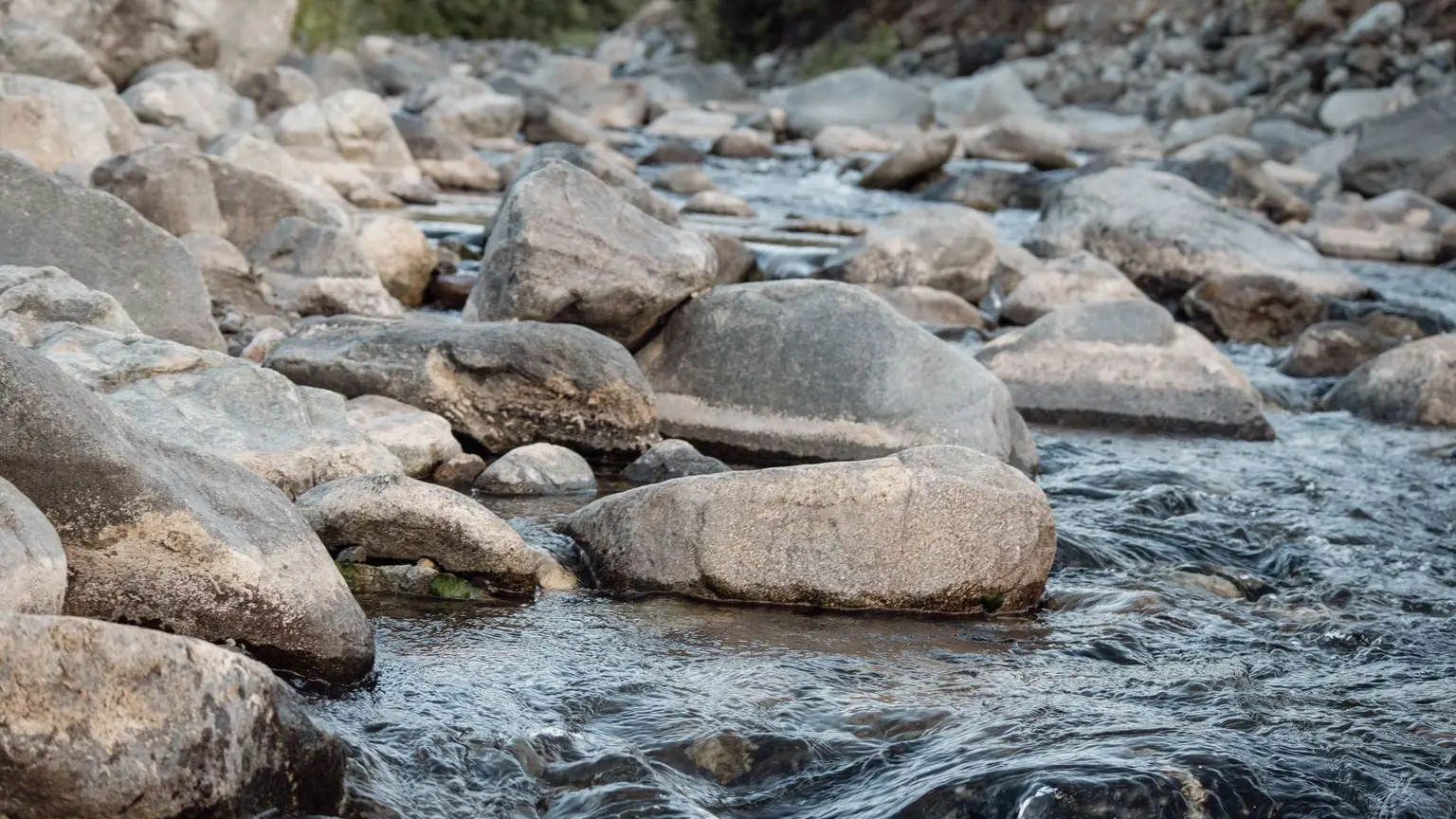 Wu Wei and the Backwards Law